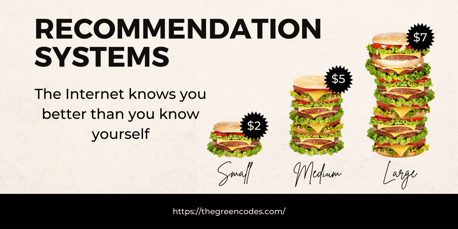 Recommendation systems on the web